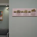 Center 부르가스